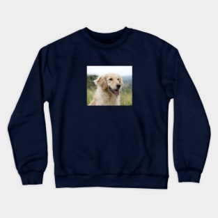 Golden Retriever Dog Crewneck Sweatshirt